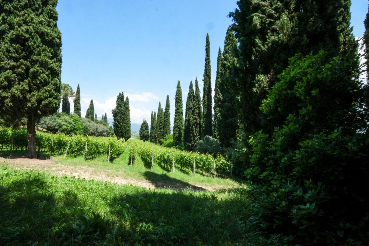 Betteloni Valpolicella