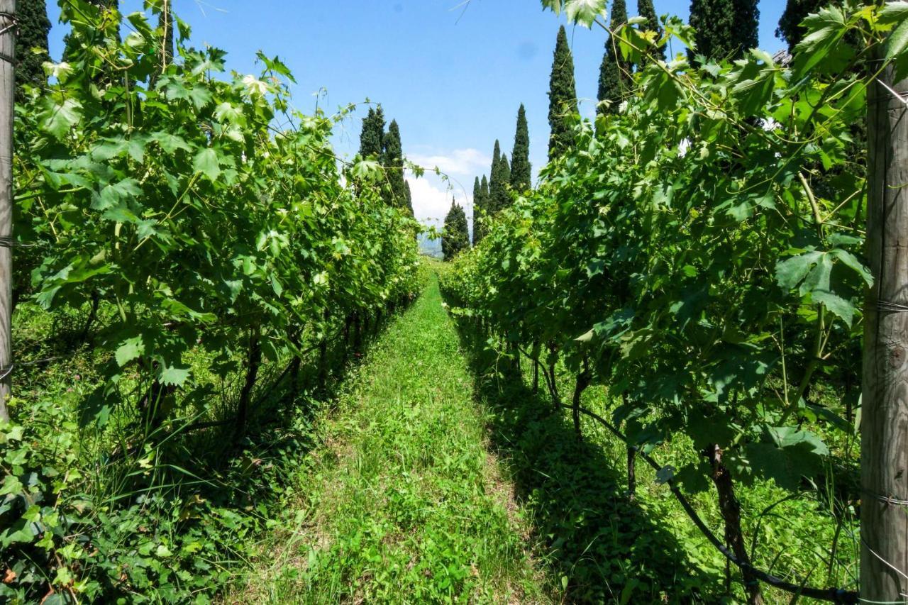 Betteloni Valpolicella *